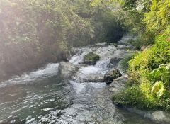 近隣風景です。 癒しの小川です。