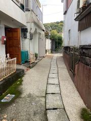 前面道路。駐車場ありません