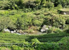 近隣風景です