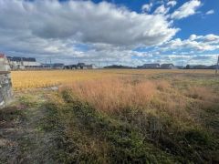 庭に木を植えたり、花を育てたりすろことで、自分たちの手で景観を作り上げる楽しさも味わえます