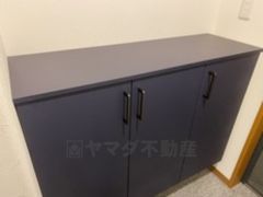 玄関、シューズぼっくすの上にも小物を飾ったりできますね