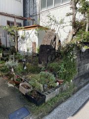 現状の北面お庭です