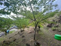 お庭が広く、家庭菜園やガーデニングが楽しめます。