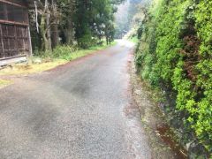 現地写真