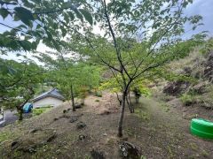 お庭が広く、家庭菜園やガーデニングが楽しめます。