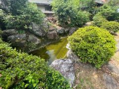 広いお庭のは池もあり、魚を飼ったり、水生植物を育てたり、楽しみが増えますね。