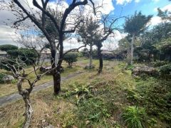 お庭が広いと、ＢＢＱや野外での食事を楽しむスペースが作れたり、家族や友人と素敵な時間を共有することができます。