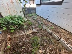 畑もあり、家庭菜園やガーデニングが楽しめますね。