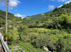 近隣風景です