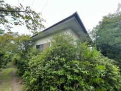 是非一度現地でご確認下さい
