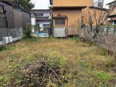 現地写真