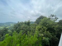山々と太平洋に囲まれて、美しい景色を楽しむことができます。