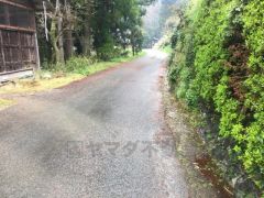 現地写真