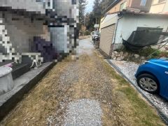 現地写真
